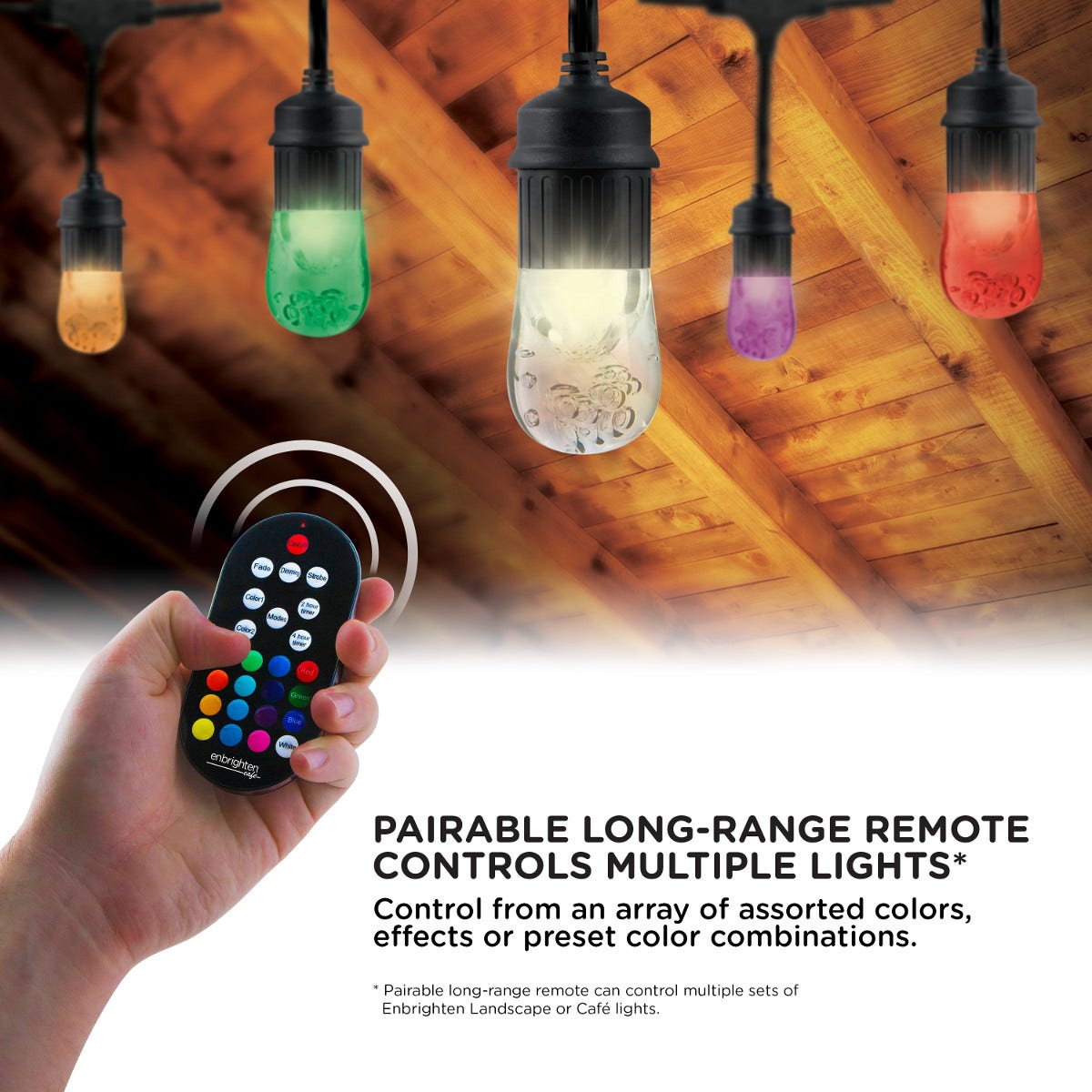 Enbrighten Seasons Color-Changing Classic LED Cafe Lights, 12 Bulbs, 24ft. Black Cord