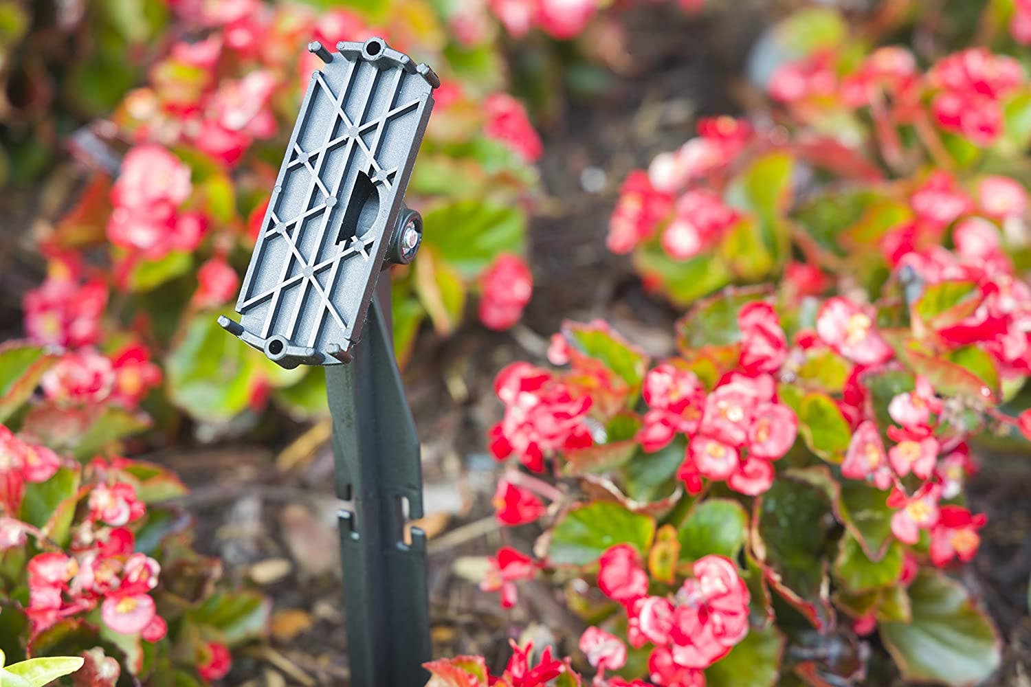 Enbrighten Mega Stake LED Landscape Light Management, 14in., Black
