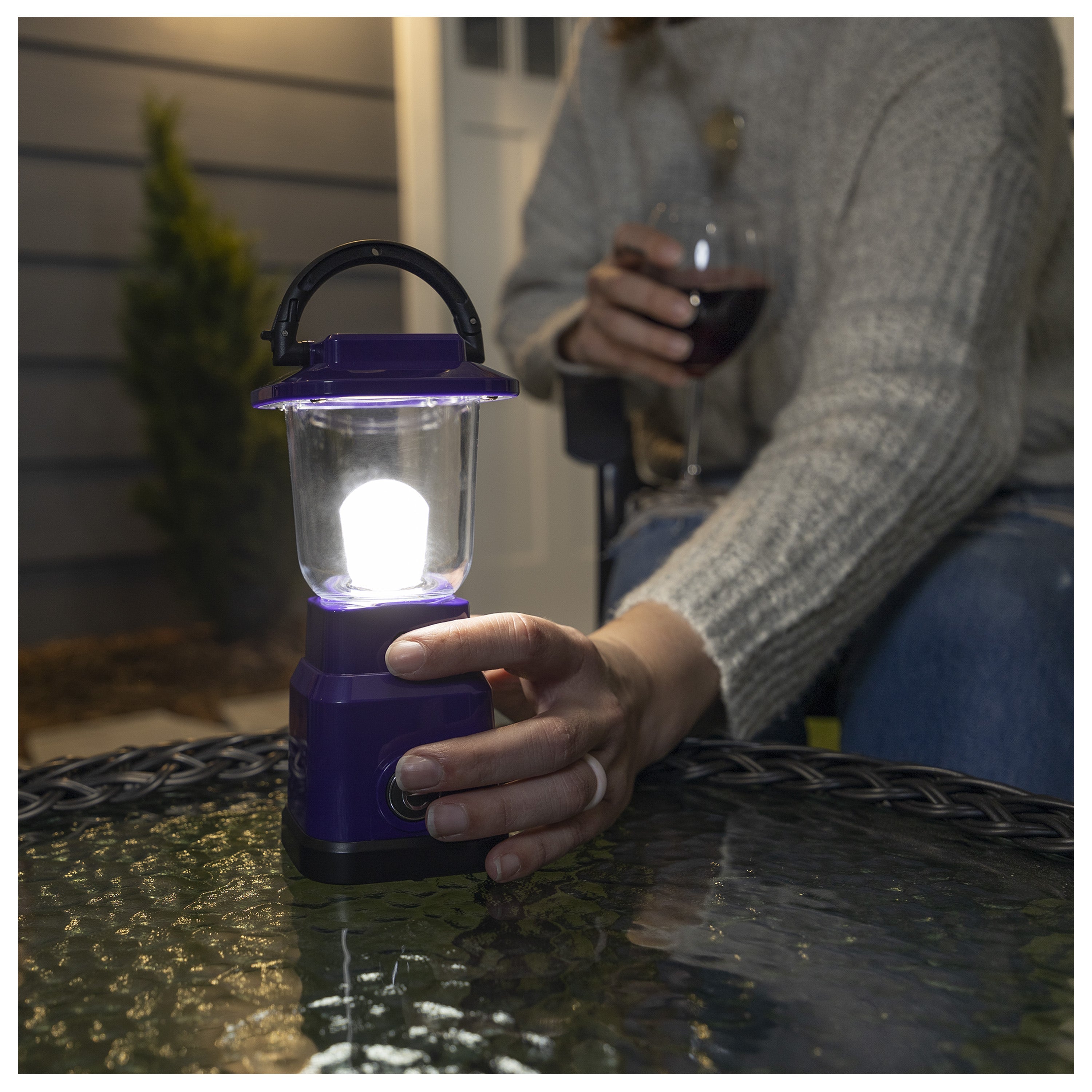 Enbrighten Mini Lantern, Purple