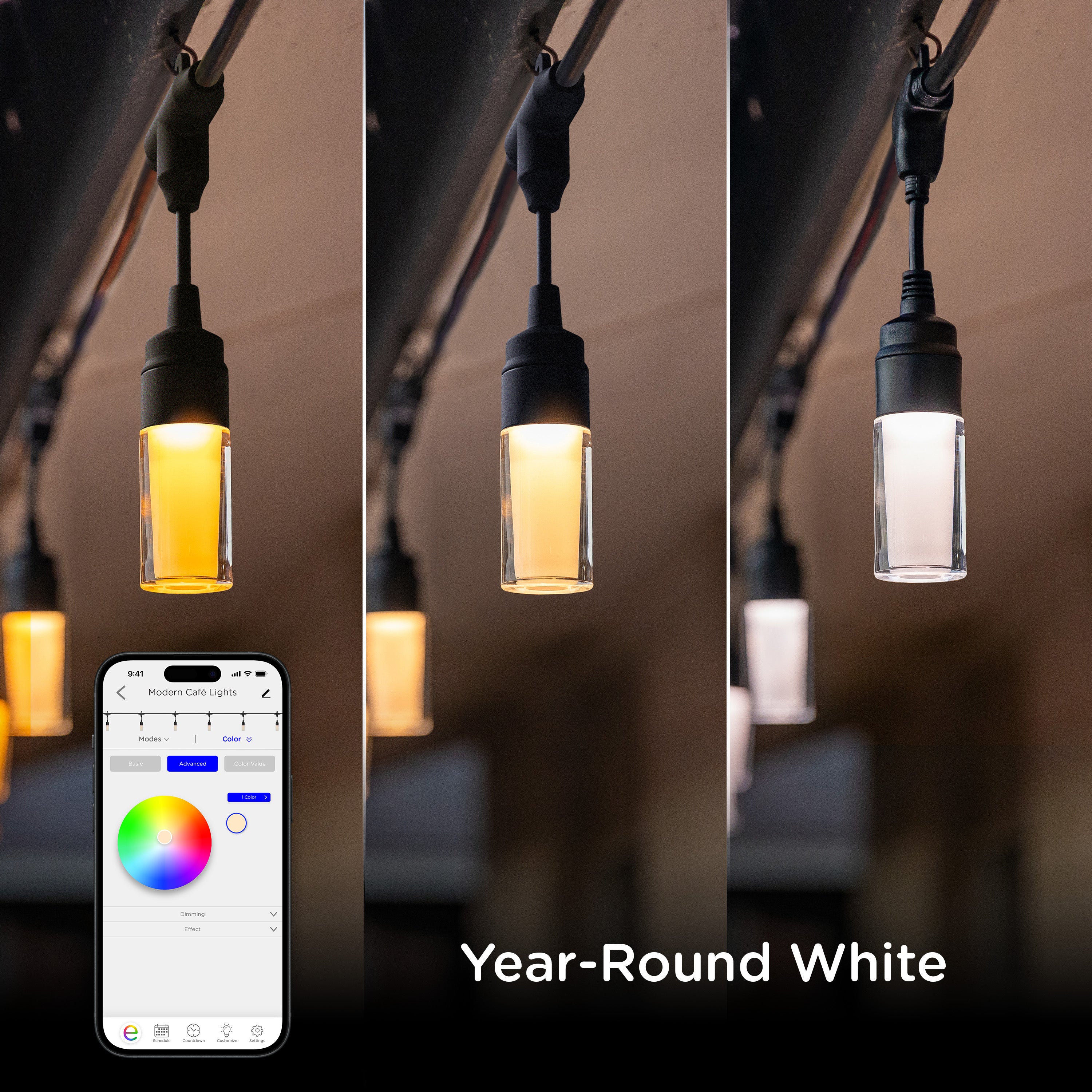 Enbrighten WiFi VIBE Modern Color-Changing LED Cafe Lights, 24 Bulbs, 48ft. Black Cord