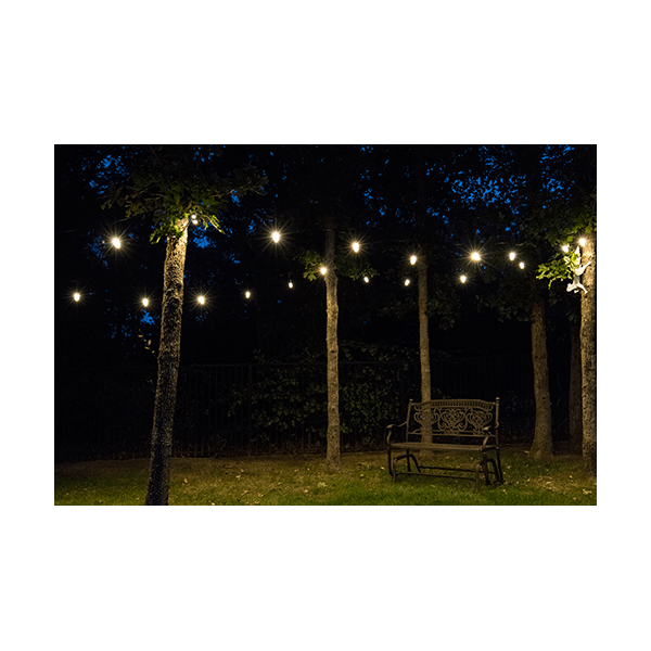 Enbrighten Classic LED Cafe Lights, 36ft. Black Cord