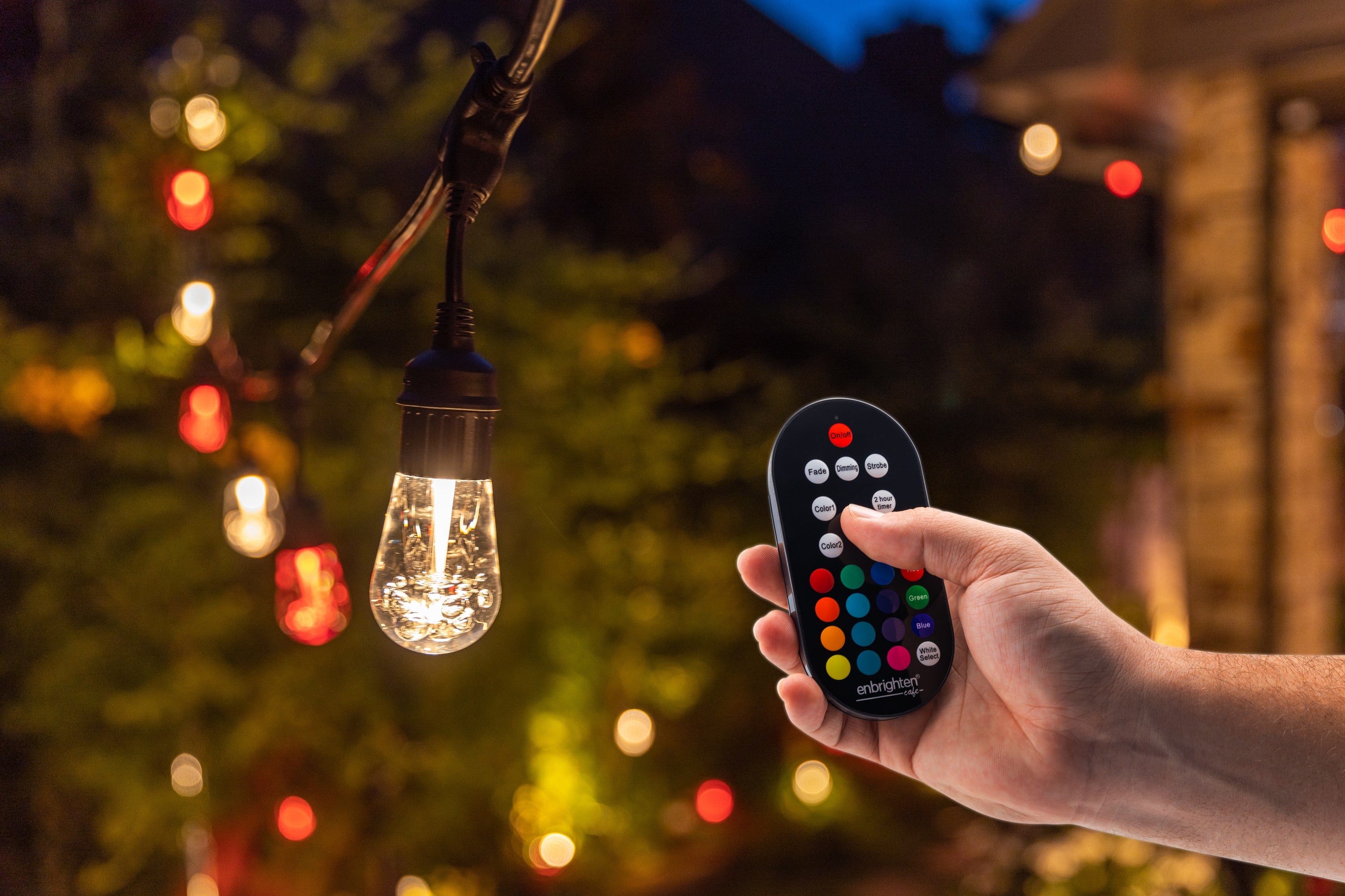 Enbrighten Pairable Seasons Cafe and Landscape Replacement Remote