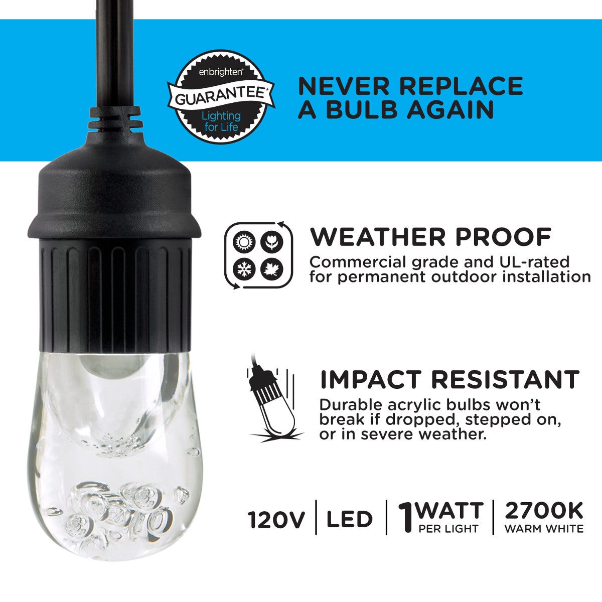 Enbrighten Seasons Color-Changing Classic LED Cafe Lights, 12 Bulbs, 24ft. Black Cord