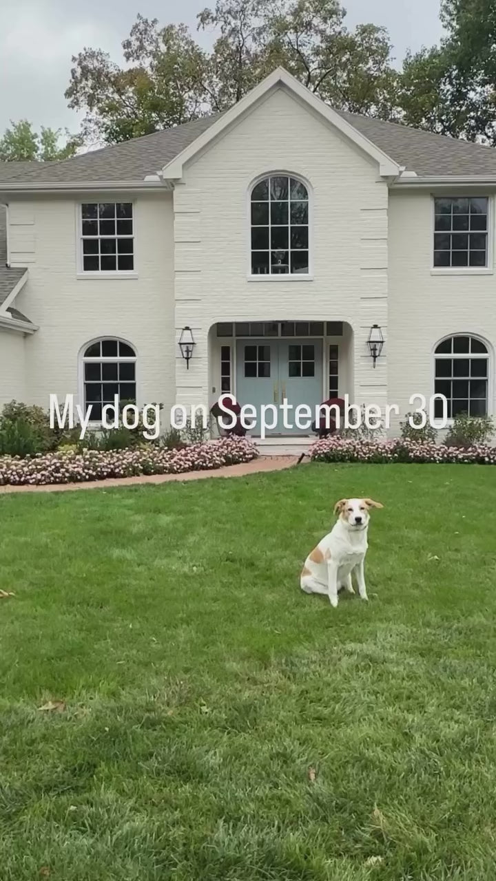 Load video: