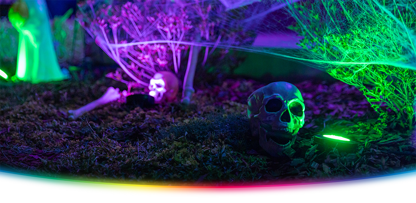Halloween Shop