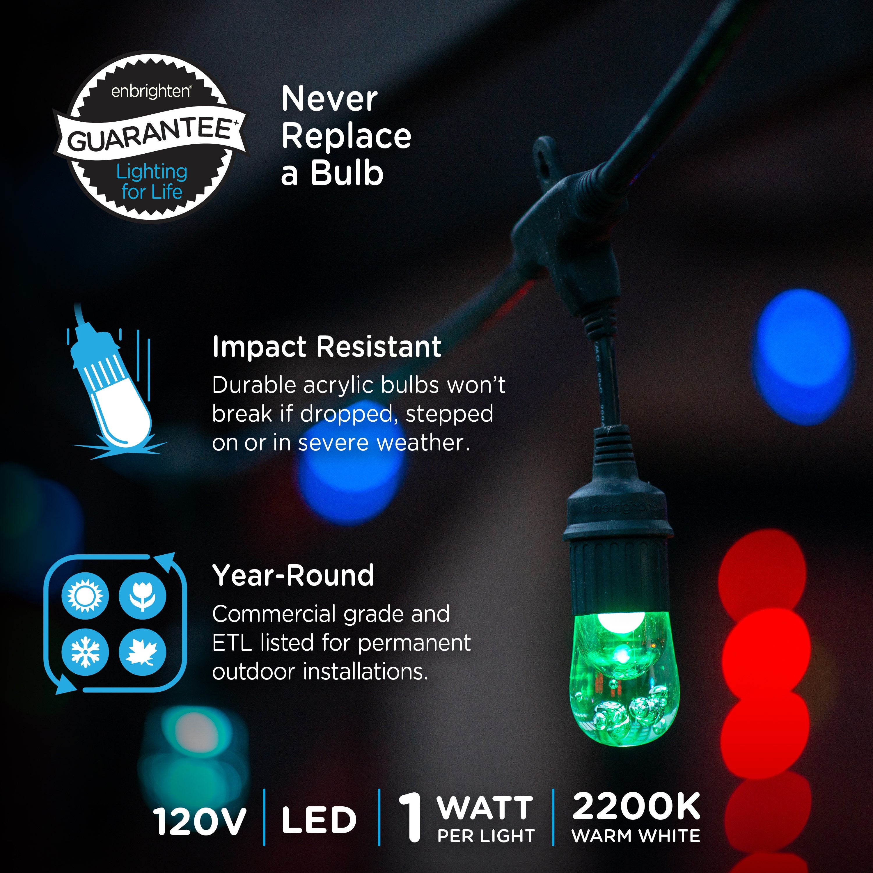 Enbrighten Seasons Color-Changing Classic LED Cafe Lights, 20 Bulbs, 40ft. Black Cord