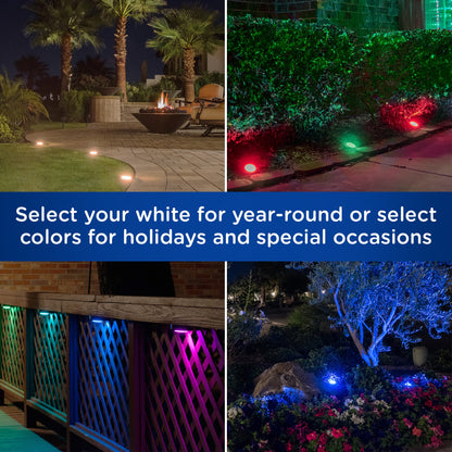 Enbrighten Seasons Color Changing LED Landscape Lights,12 Lights, 110 ft. Black Cord