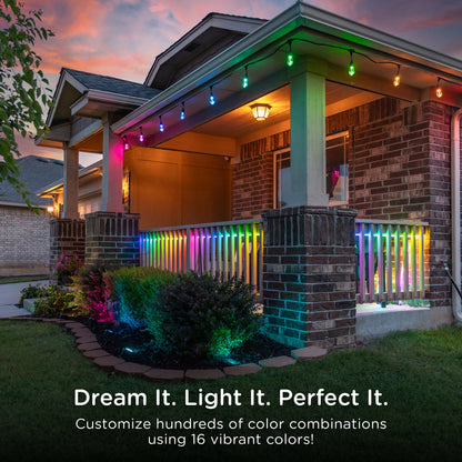Enbrighten Seasons Color Changing LED Landscape Lights,12 Lights, 110 ft. Black Cord