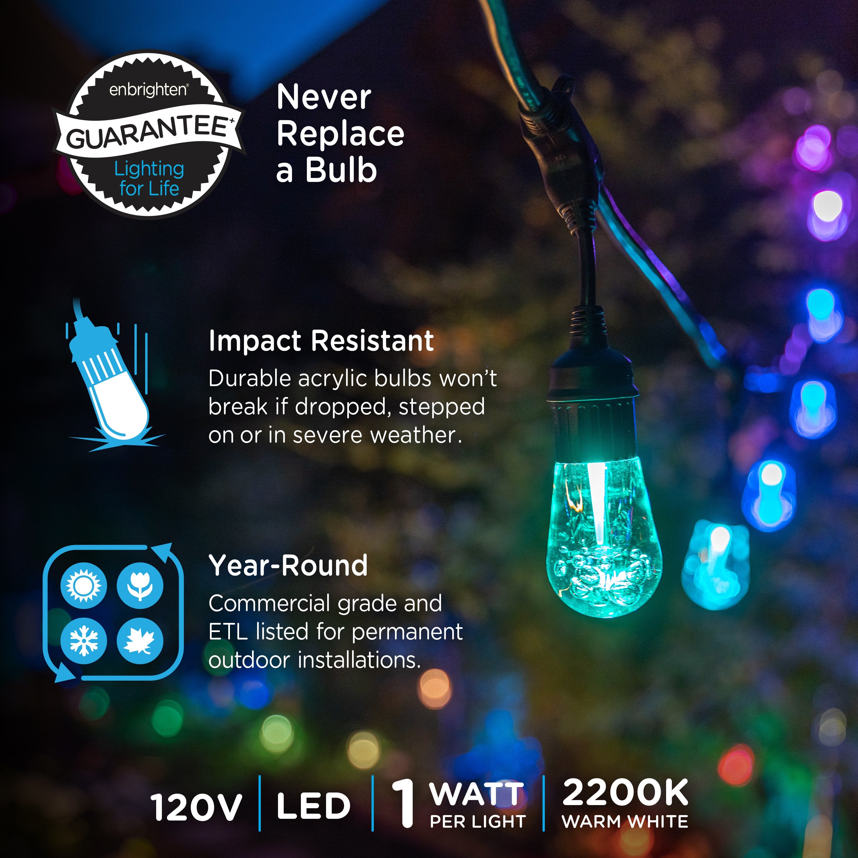 Enbrighten Seasons Color-Changing Vintage LED Cafe Lights, 24 Bulbs, 48ft. Black Cord
