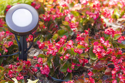 Enbrighten Mega Stake LED Landscape Light Management, 14in., Black