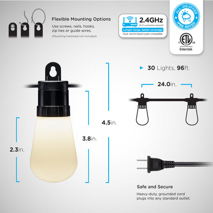 Enbrighten WiFi VIBE Color-Changing Lightweight LED Cafe Lights, 30 Plastic Bulbs, 96ft. Black Cord