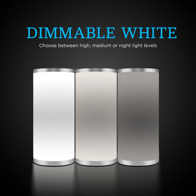 Enbrighten Color Fusion Dimmable Color Changing LED Tabletop Lamp, Silver