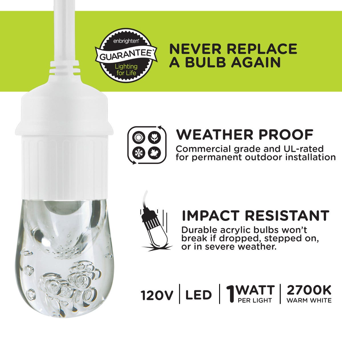 Enbrighten Classic LED Cafe Lights, 12 Bulbs, 24ft. White Cord