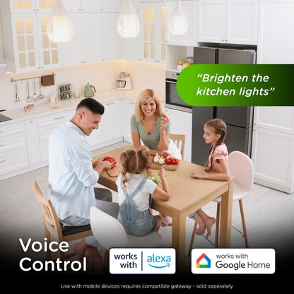 Enbrighten 800 Series Z-Wave Toggle Dimmer