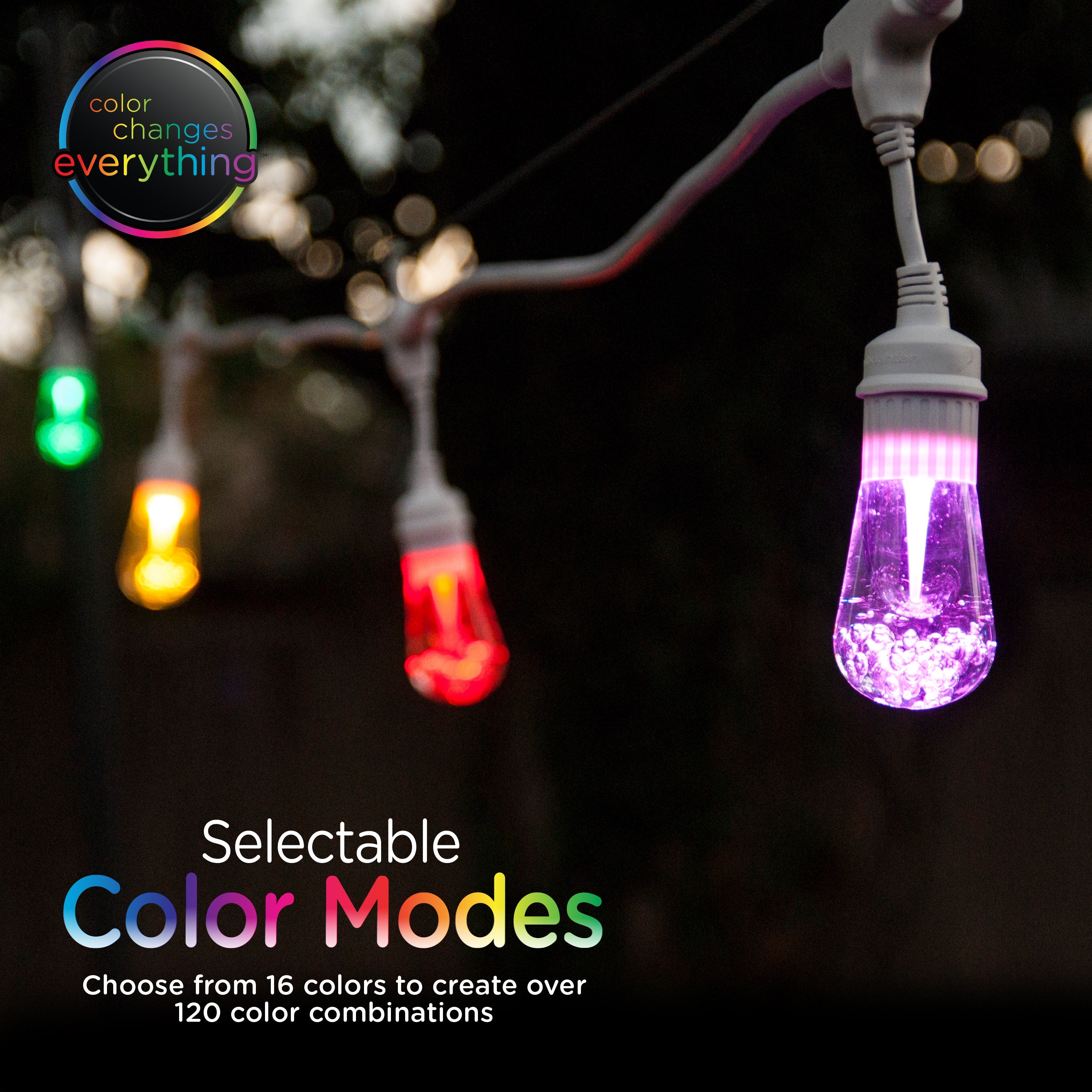 Enbrighten Light Bundle - Seasons Vintage Color-Changing LED Cafe Lights (12 Bulbs, 24ft. White Cord) and 12 Oil-Rubbed Bronze Cage Light Shades