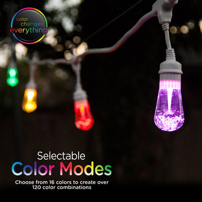 Enbrighten Light Bundle - Seasons Vintage Color-Changing LED Cafe Lights (12 Bulbs, 24ft. White Cord) and 12 Oil-Rubbed Bronze Cage Light Shades