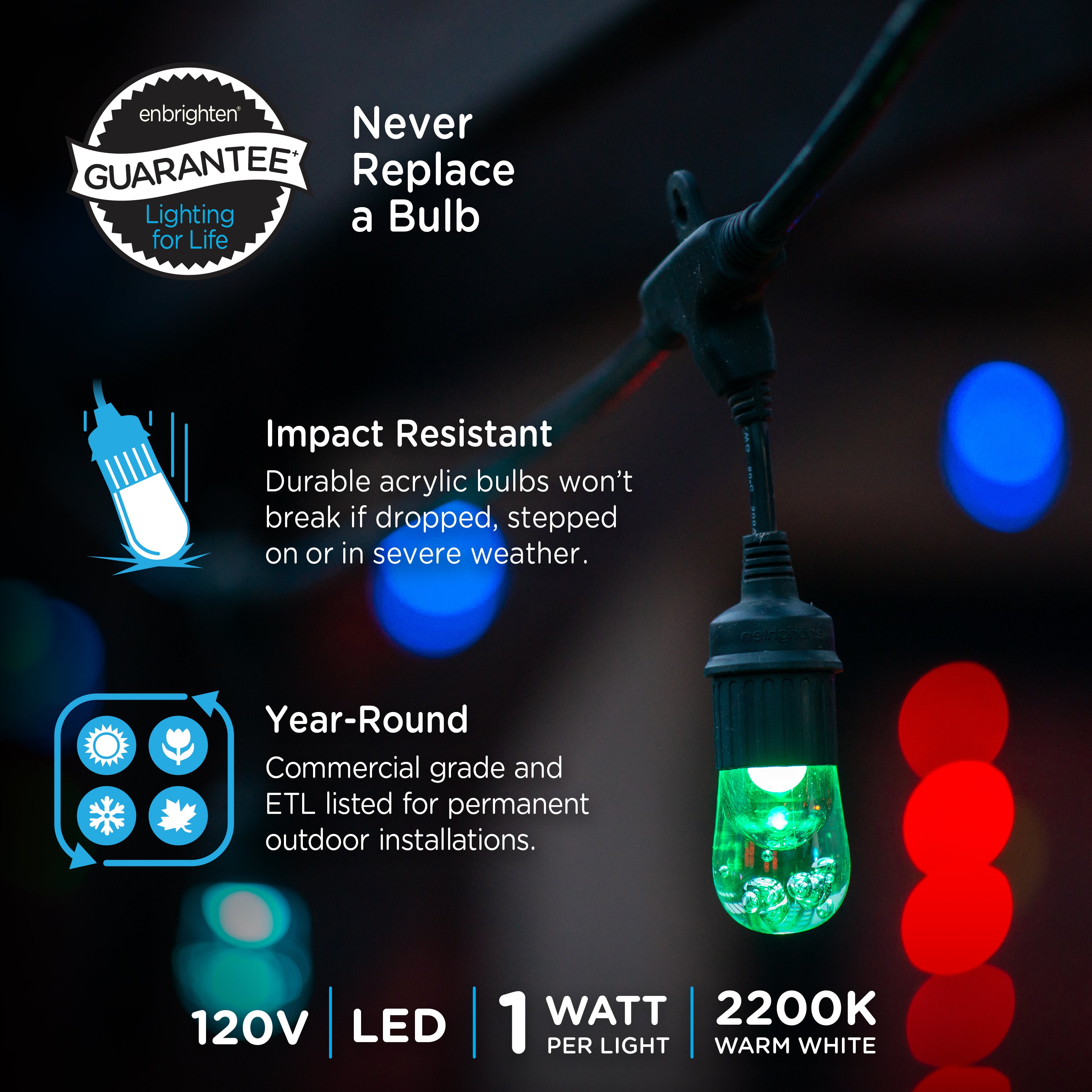 Enbrighten Seasons Color-Changing Classic LED Cafe Lights, 10 Bulbs, 20ft. Black Cord