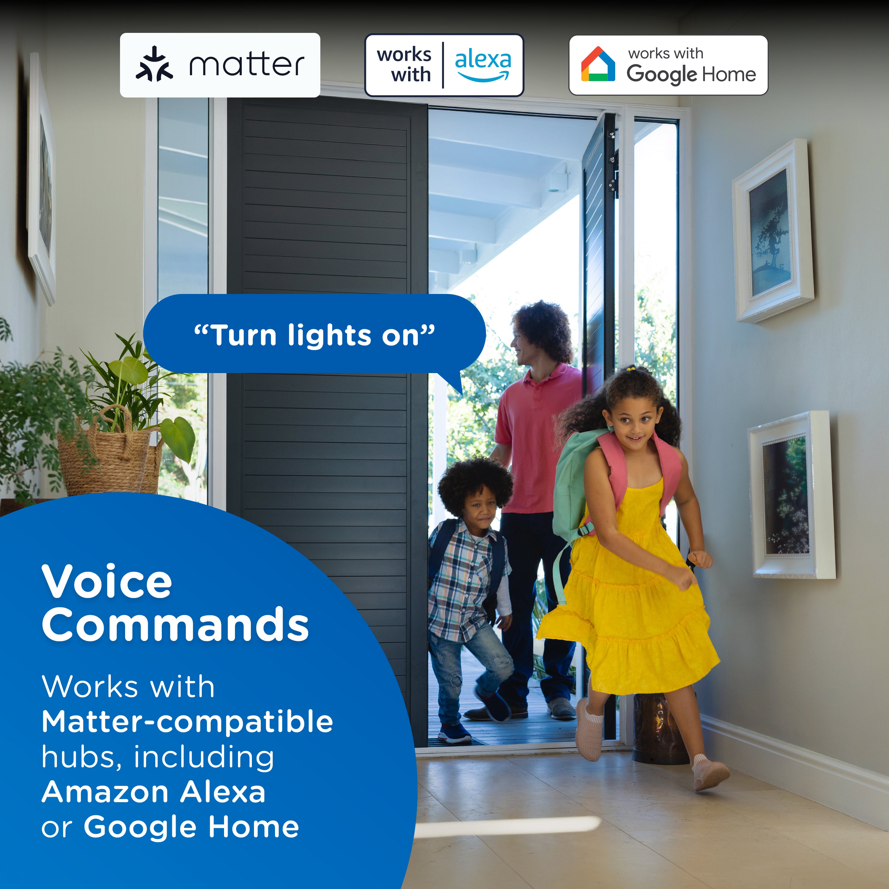 Enbrighten Pro In-Wall Wi-Fi Matter Countdown Smart Switch
