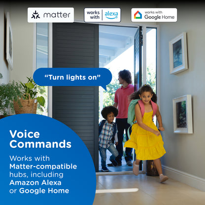 Enbrighten Pro In-Wall Wi-Fi Matter Countdown Smart Switch