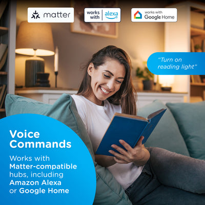 Enbrighten Vibe Indoor Dual-Outlet Wi‑Fi Matter Smart Plug
