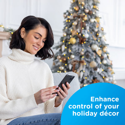 Enbrighten Vibe Indoor Dual-Outlet Wi‑Fi Matter Smart Plug