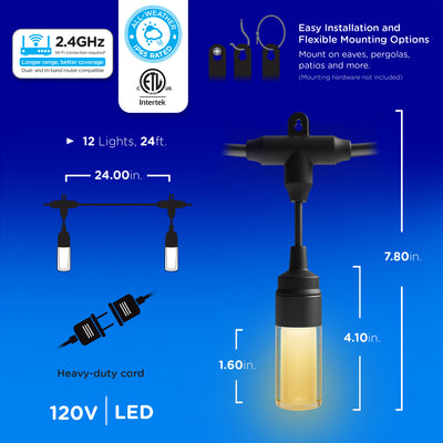 Enbrighten VIBE WiFi Modern Color-Changing LED Cafe Lights, 12 Bulbs, 24ft. Black Cord