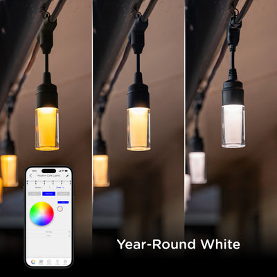 Enbrighten VIBE WiFi Modern Color-Changing LED Cafe Lights, 12 Bulbs, 24ft. Black Cord