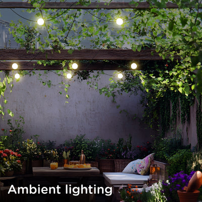 Enbrighten Globe String Lights 12 Bulbs, 44ft.