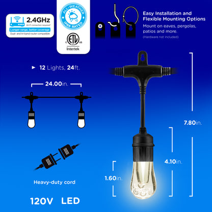 Enbrighten VIBE WiFi Vintage Color-Changing LED Cafe Lights Gen 2, 12 Bulbs, 24ft. Black Cord