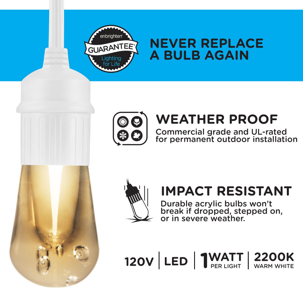 Enbrighten Light Bundle - Seasons Vintage Color-Changing LED Cafe Lights (12 Bulbs, 24ft. White Cord) and 12 Oil-Rubbed Bronze Cage Light Shades