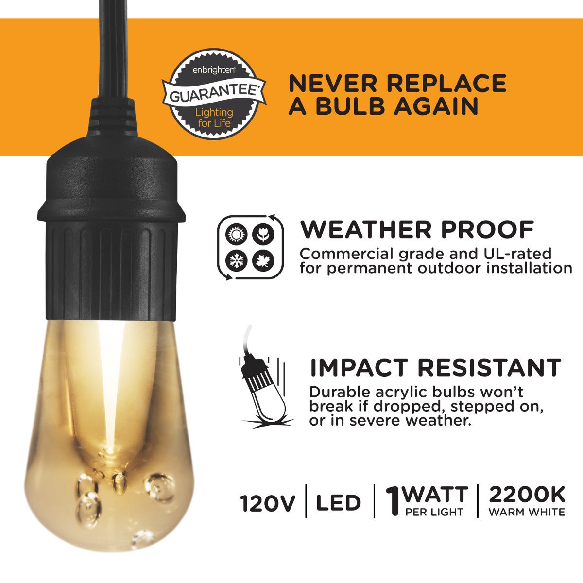 Enbrighten Vintage LED Cafe Lights, 12 Bulbs, 24ft. Black Cord