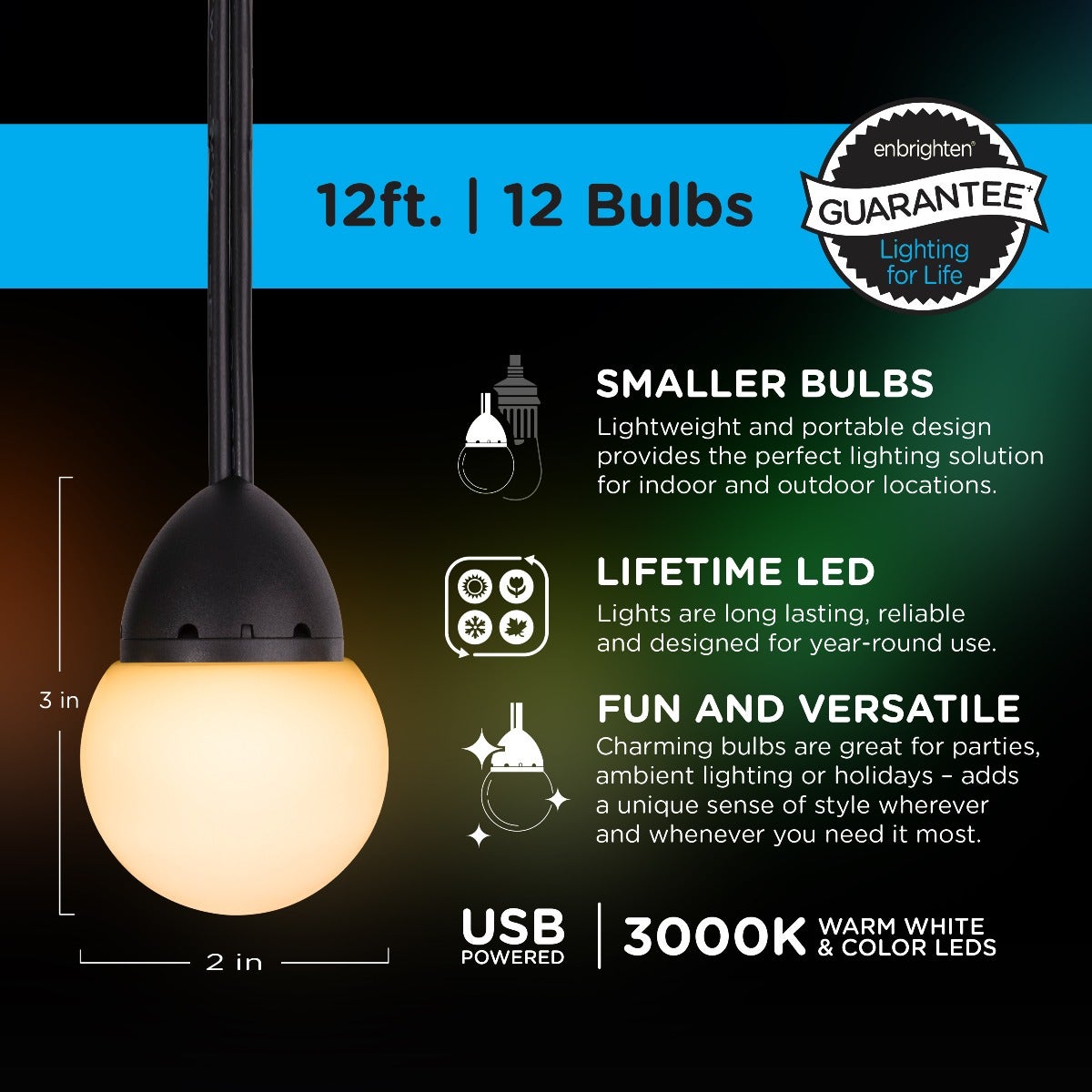 Enbrighten Bistro USB-Powered Color Changing LED Cafe Lights, 12 Bulbs, 12ft. Black Cord