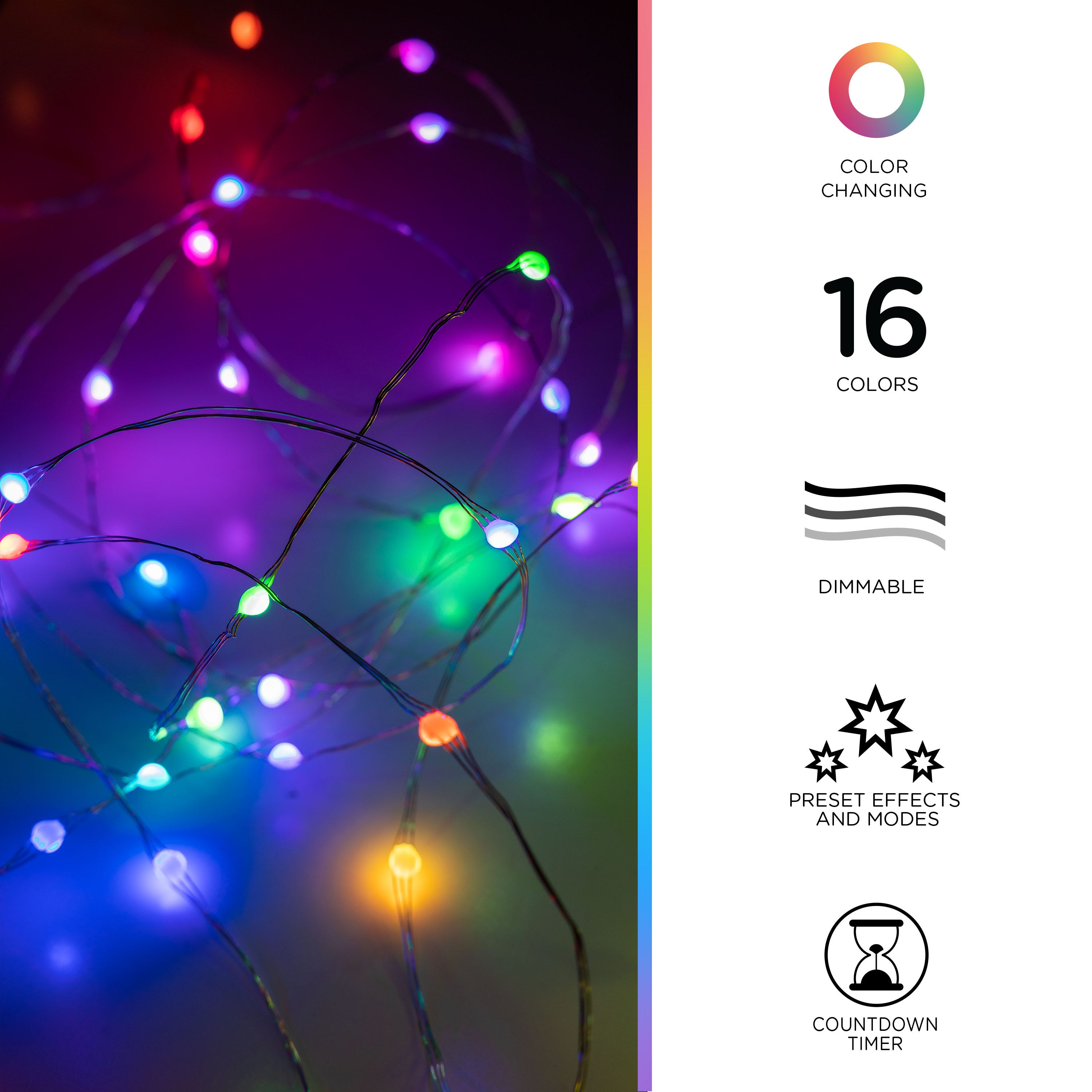 Enbrighten Basics LED Color Changing Fairy String Lights, 60 Lights, 20ft., White