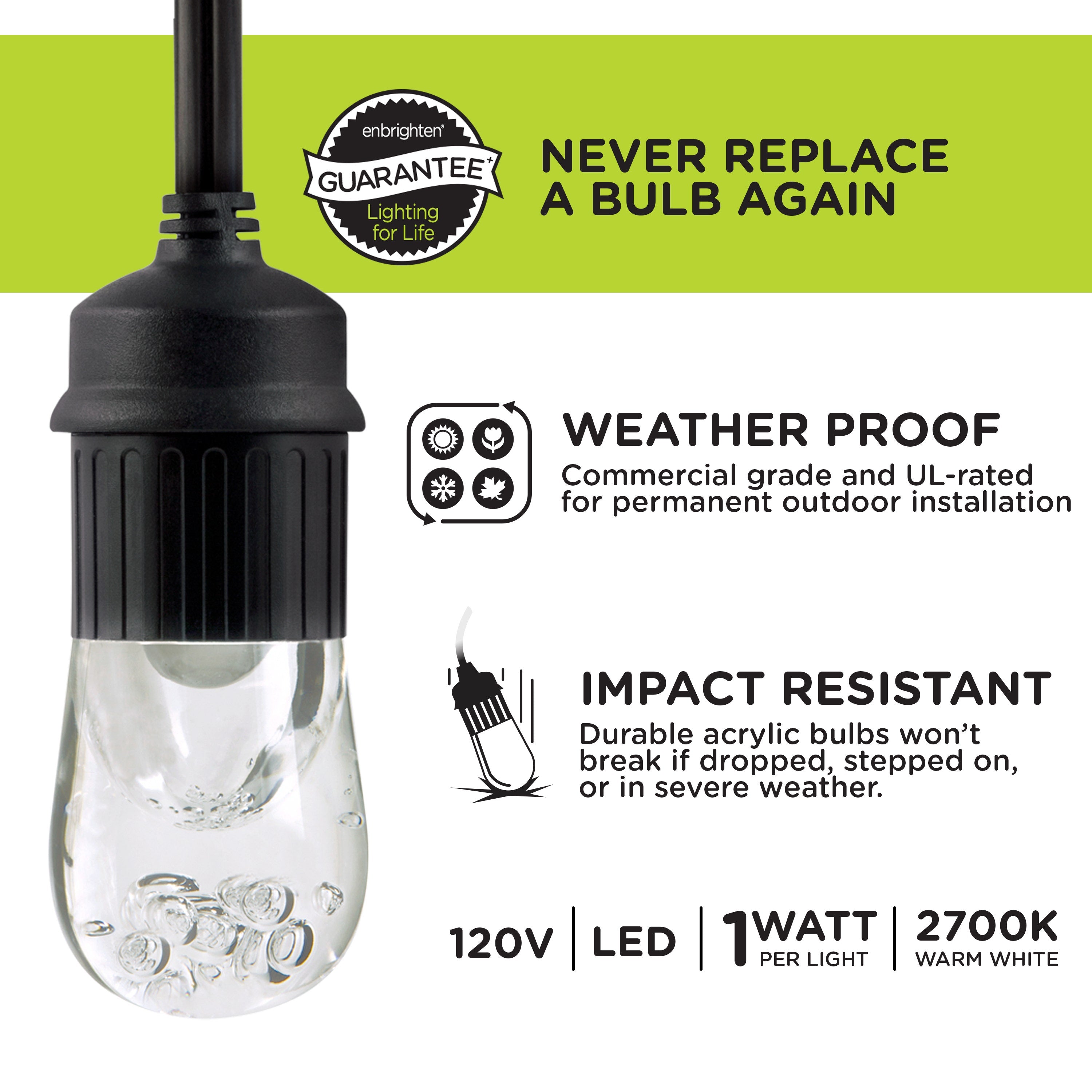 Enbrighten Classic LED Cafe Lights, 36ft. Black Cord