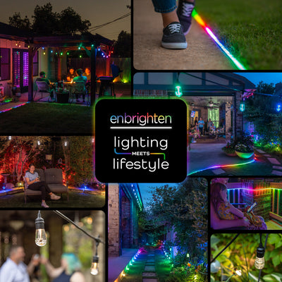 Enbrighten Seasons Color Changing LED Landscape Lights,12 Lights, 110 ft. Black Cord