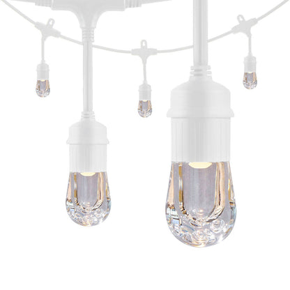 Enbrighten Classic LED Cafe Lights, 12 Bulbs, 24ft. White Cord