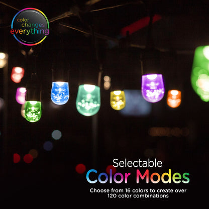 Enbrighten Seasons Color-Changing Classic LED Cafe Lights, 12 Bulbs, 24ft. Black Cord