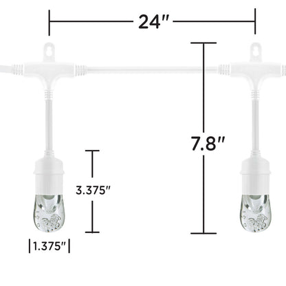 Enbrighten Classic LED Cafe Lights, 12 Bulbs, 24ft. White Cord