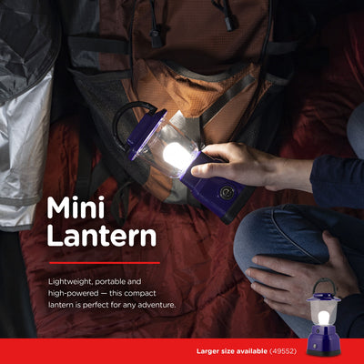 Enbrighten Mini Lantern, Purple
