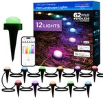 Enbrighten WiFi Seasons Mini Color-Changing LED Smart Landscape Lights, 12 Lights, 22ft. Black Cord